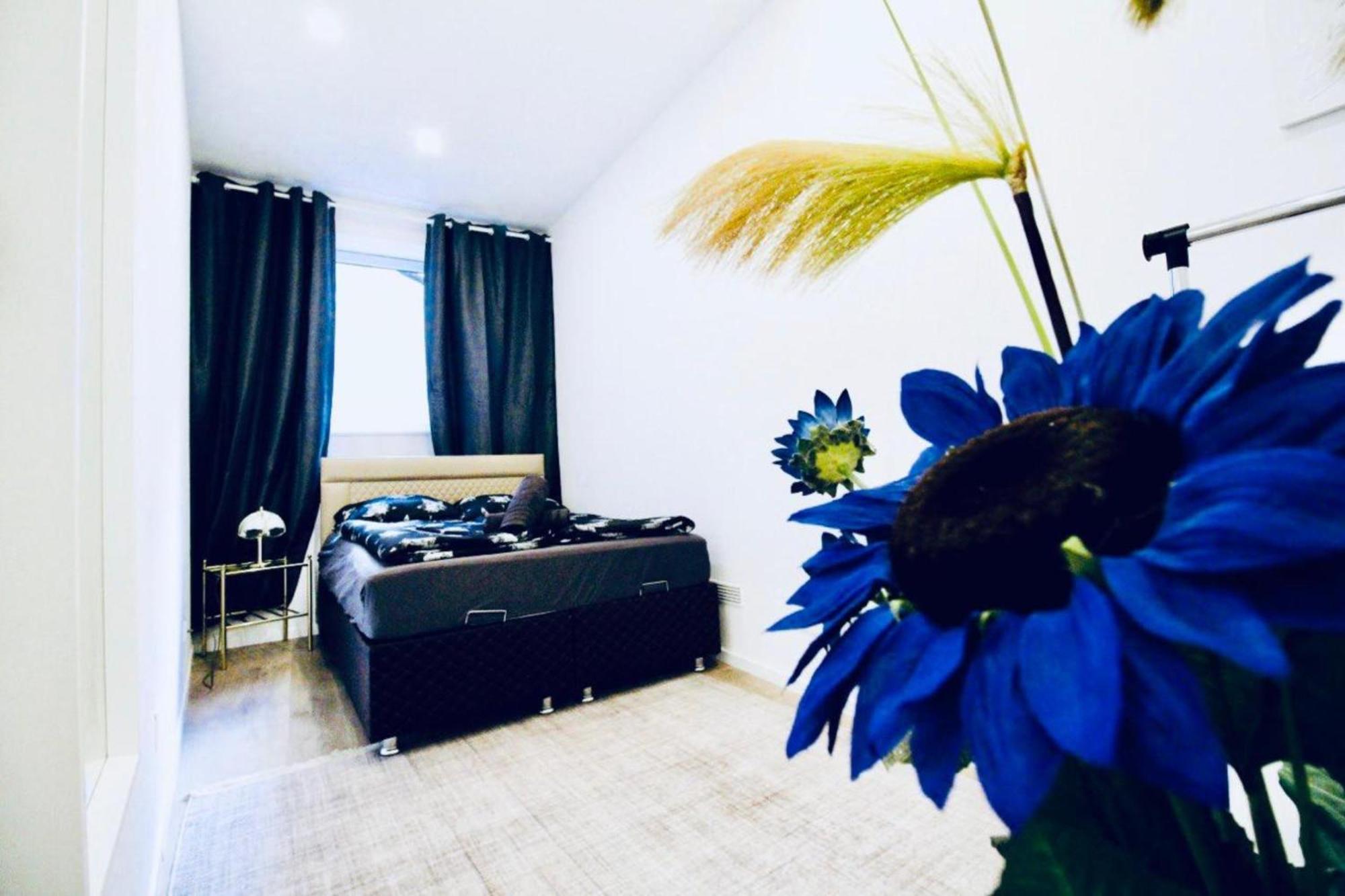 Apartment Beautiful 2br And 1lr 10 Minutes To St Stephens